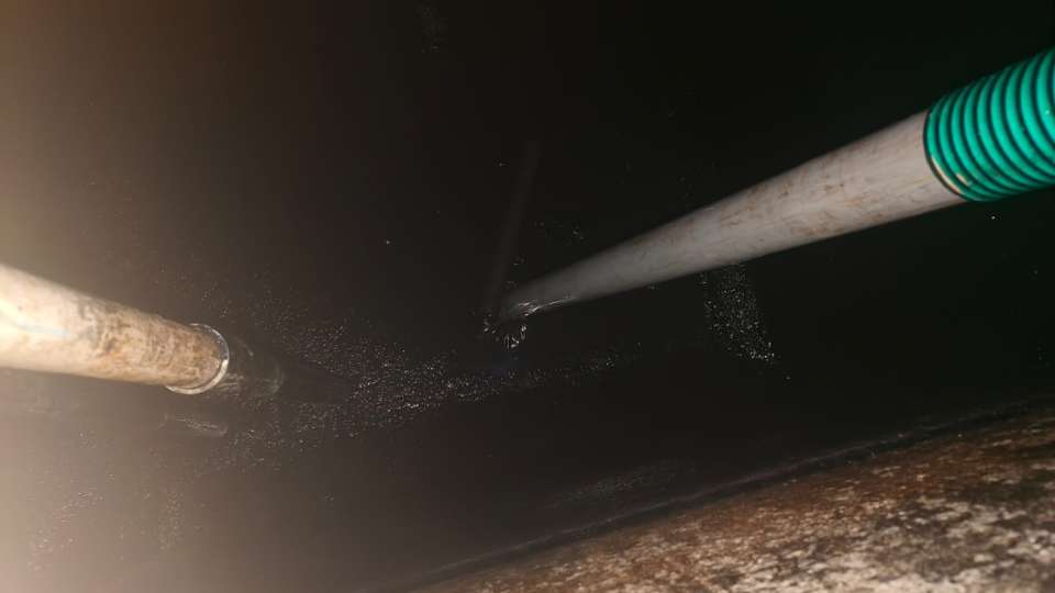 ssf19